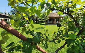 Valchid Guest House