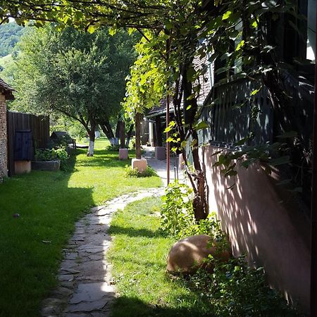 Valchid Guest House Extérieur photo