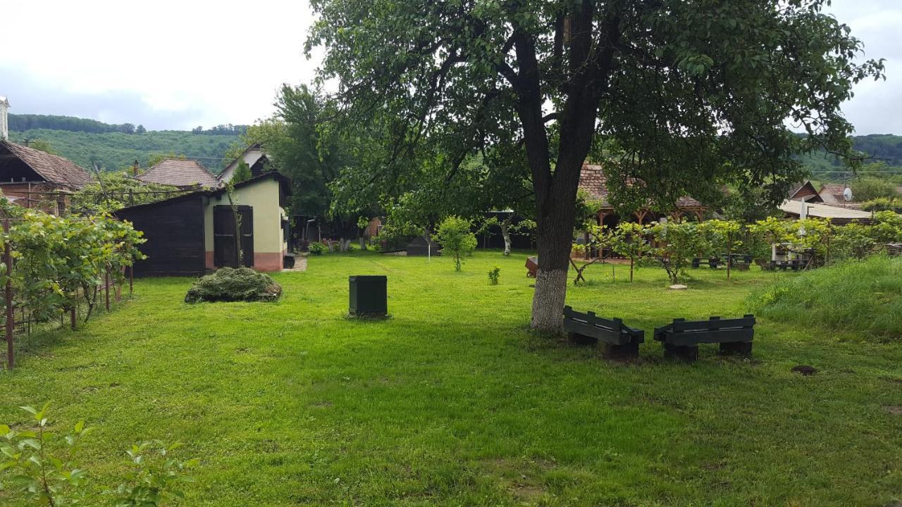 Valchid Guest House Extérieur photo