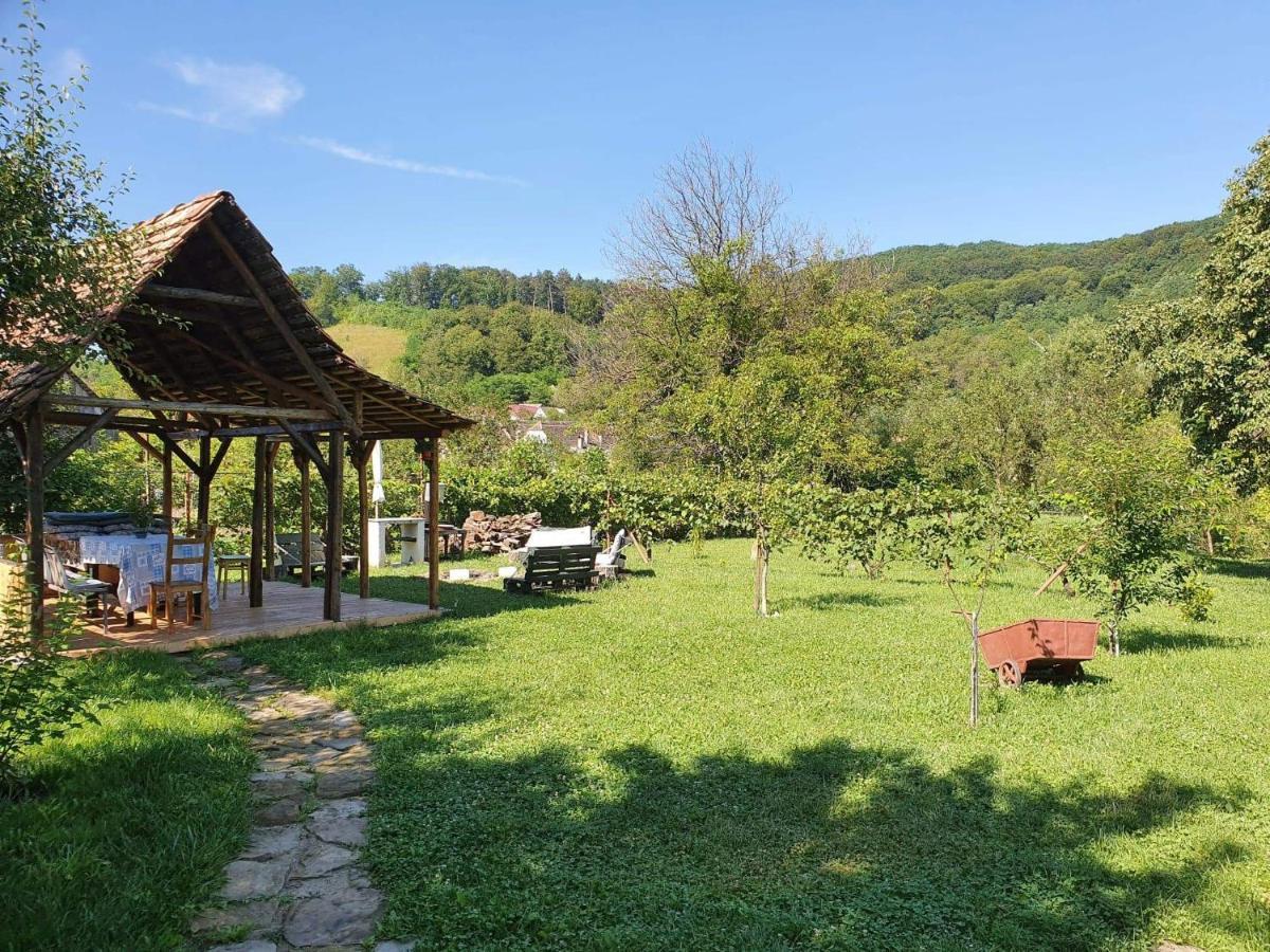 Valchid Guest House Extérieur photo
