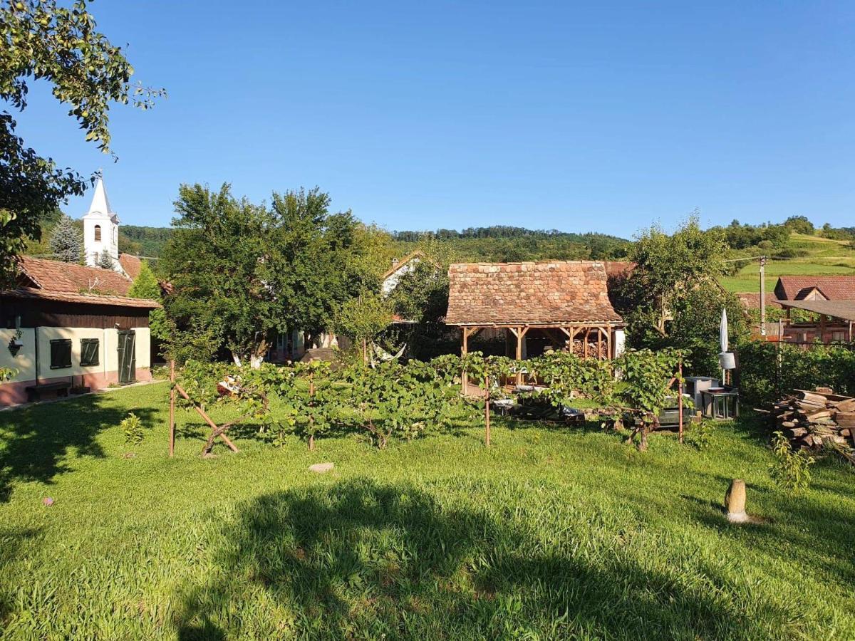 Valchid Guest House Extérieur photo