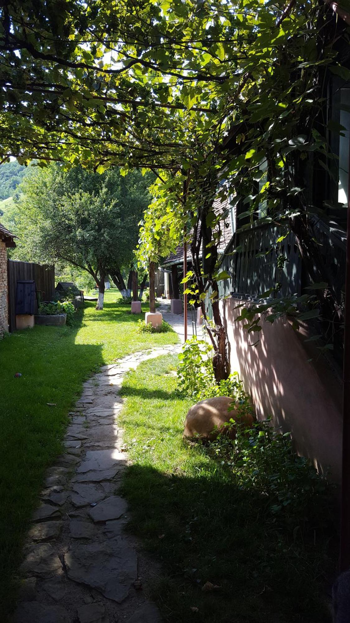 Valchid Guest House Extérieur photo